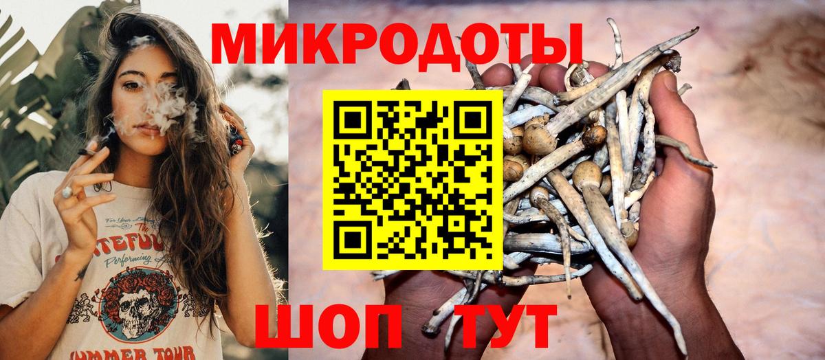 Псилоцибиновые грибы GOLDEN TEACHER  Галлюциногенные грибы прущие грибы  Вход с VPN  Ефремов 